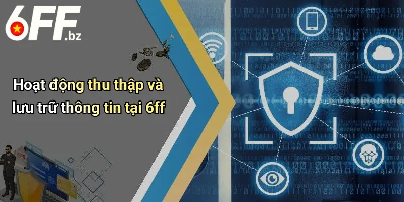 Hoạt động thu thập và lưu trữ thông tin tại 6ff